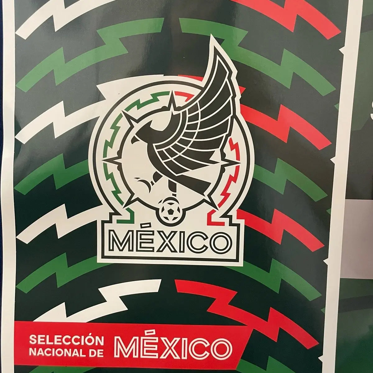 Seleccion Mexicana - View 2